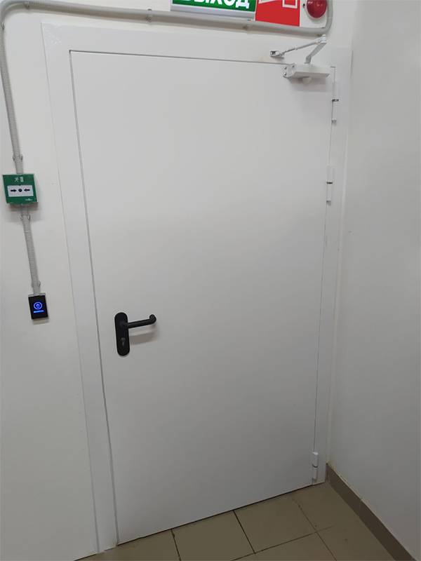 Однопольная дверь с внешней стороны (ул. Звенигородская, 5) Однопольная дверь с внешней стороны (ул. Звенигородская, 5)